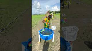 who emerged victorious ? sky high hoops to an epic final comeback, witness innovation and excitement