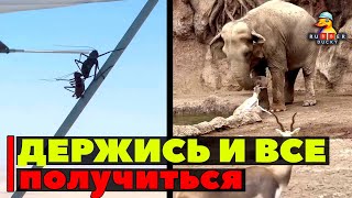 Держись и все получиться