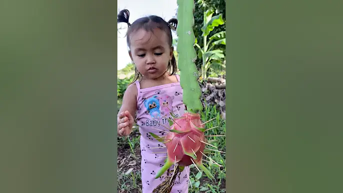 Survival Skills: SMART idea and USEFUL in forest #short #bushcraft #camping #outdoors #survival