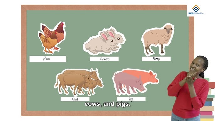 REB/PH2/SET/ANIMATION/EP1/DOMESTIC ANIMAL SLV V