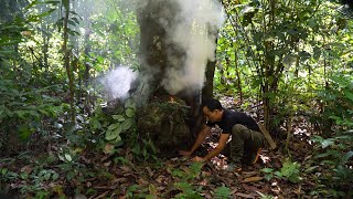 나무 구멍 속에 숨겨진 음식 | 자급자족 | 에피소드 85