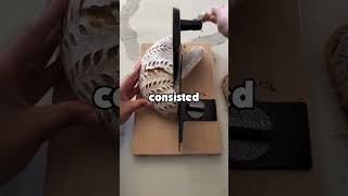 해병대나 육군 병력이 공군기지의 생활 환경에 놀랄 수도 있는 이유는 무엇일까?