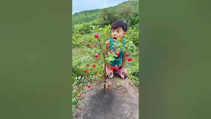 Survival Skills: SMART ideas and USEFUL with single mom #bushcraft #camping #outdoors