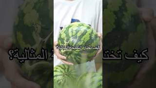 ما هي طريقتكم لاختيار البطيخة المثالية؟#shorts #tips #knowledge