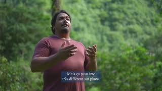 Conseils pour Randonner à Tahiti Et Ses Îles