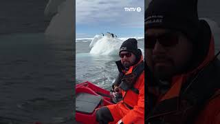 Portrait de Teiki, marin sur un brise glace