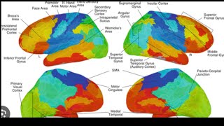 Prantik Kundu - The Neuroscience of Yogic Practices