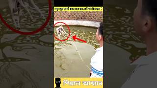 দেখুন বন্ধুরা লোকটি বাজার থেকে আস্ত একটি খাসি কিনা আনে 😱 #goat #sorts #story