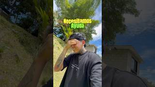 Algo se llevó el perro de mi novia