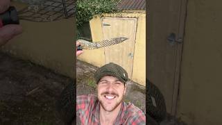 호머의 문 #개 #목공 #문 #목공 #이야기 #아일랜드 #수리