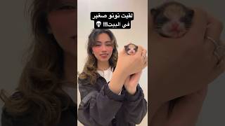 من فين جا ومين الأبو؟؟😭😭 #اكسبلور #ران #زفوتة