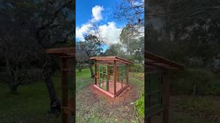 이런 일은 전에 한 번도 본 적이 없습니다