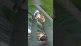 Built my dream treehouse 🌳🏚️with nothing but time and patience #bushcraft #camping #Outdoors