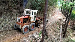First Time Taking My Vintage Grader Down the 3km Forest Driveway – What Could Go Wrong?