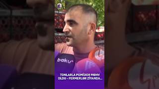 #pomidor #masalli #ziyan #fermer #xezerxeber #sonxeberler #rayonlar