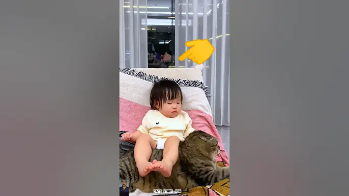 The end 😂😹 #pet#funnyshorts#viralshorts #animals#ytshorts