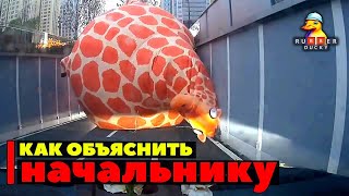 Как объяснить начальнику