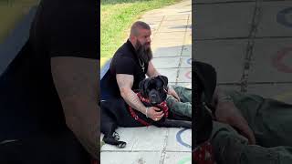 Zum Besch im #kindergarten ❤️‍🩹 #savethedogsbih #rescuedogs #kinder #aufklärung  #nextgeneration