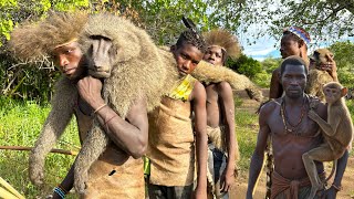 Discover Hadzabe Tribe Baboon Monkey Hunt | baboon eating tribe