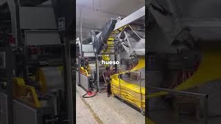 ¿Qué es lo peor de ser cuatrillizo?