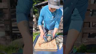 Как легко почистить окуня не снимая шкуру? #окунь #чисткаокуня #рыбацкаякухня #жареныйокунь