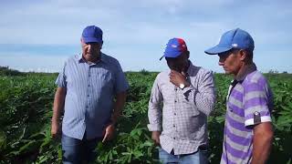 Evalúan autoridades potencialidades para la producción de alimentos en #LasTunas