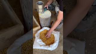 Mirá él inventó una máquina para moler el maíz de forma muy rápida 😍 #ideas #trends #fyp
