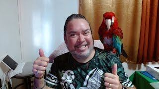 Un p'tit café avec toi et Jackson mon perroquet.