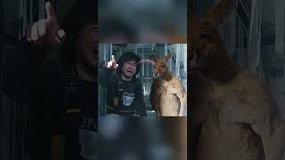 He and his companions cangroo