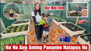 Natapos Din At Nakapananim Na Kami Sa Aming Backyard|Ng Mga Gulay 