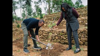 አረንጓዴ ዐሻራ አንድ ቀን ተከላ በየካ ተራራ