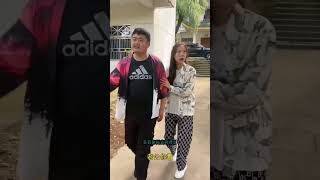 Everything has spirituality, good dog, cute pet