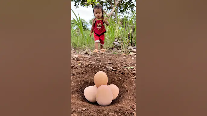 Survival Skills: SMART ideas and UDEFUL with Egg #shorts #bushcraft #camping #outdoors #survival