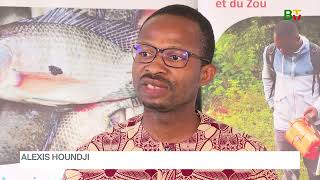 Pisciculture au Bénin : version sur mesure