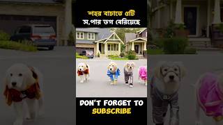 শহর বাঁচাতে ৫টি সুপার ডগ বেরিয়েছে। #shorts