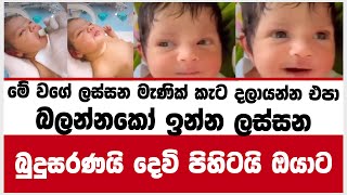 මේ වගේ ලස්සන  මැණික් කැට දලායන්න එපා බලන්නකෝ ඉන්න ලස්සන බුදුසරණයි දෙවි පිහිටයි ඔයාට