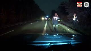 Policie ČR: Los se procházel Hodonínem