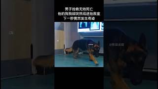 🌹 男子抢救无效死亡他的狗狗却突然闯进抢救室 下一秒竟然发生奇迹 🌹 #感人的故事