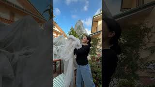 La mia pianta di avocado ha fatto i frutti!! Non ci posso credere🥑✨