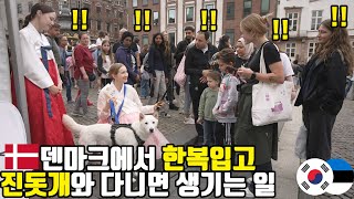덴마크에서 한복 입고 걷다가 축제 난입한 레전드 사건ㅋㅋ 진돗개+한복에 현지 반응 폭발?!