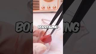 My son hates me because I told him the truth about his father 😡 #youtubeshorts #shortvideo