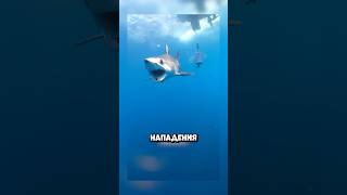 ДУШНИЛА № 65