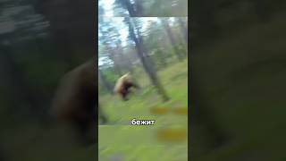 ⚡️Медведь погнался за парнем в лесу! 😱