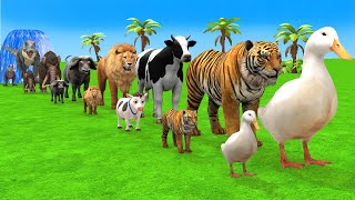 Long Slide Game With Cow Elephant Gorilla Hippopotamus Tiger - 3d Animal Game - Funny 3d Animals
