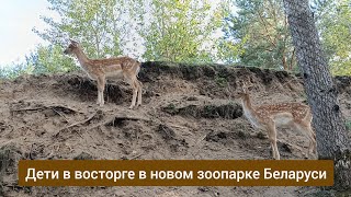 Дети в восторге в новом зоопарке Беларуси