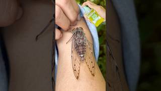 Lemon Hacks to Save Your Camping Trip!