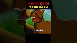 학교에 가지 않기 위해 실제 소로 변한 소년