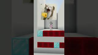 Todos comparten la misma neurona