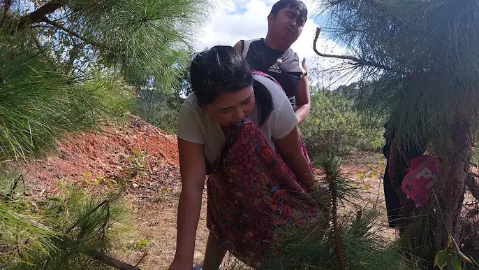 Niam tij ntsaj2 hle ri tsho tag