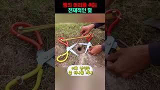 살모사 30마리를 잡는 천재적인 방법